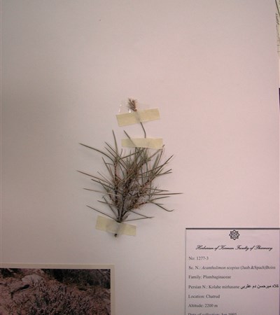 Kolah-e mirhasan-e domaghrabi