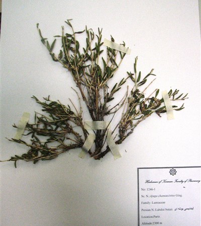 Labdisi-e boutei,Semesk