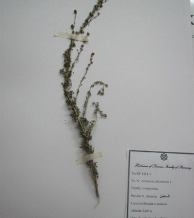 Afsantin