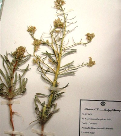 Khakeshir-e talkh-e Esfahani