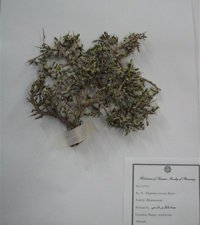 Siah tangeras-e farsi